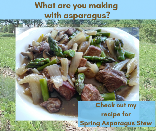 Recipe: Spring Asparagus Stew