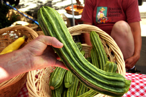 Zucchini Time! Preserving Plentiful Summer Squash for Winter
