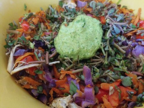 FREE Food: A Powerful Purslane Meal Idea