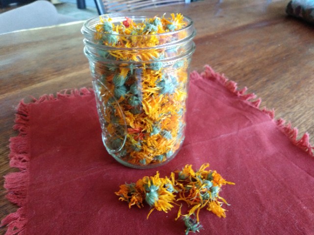 Edible Beauty: Calendula Oil