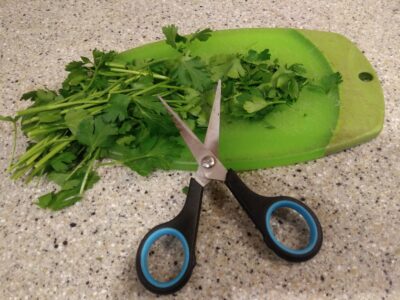 Kitchen Tip: Small Kitchen Scissors