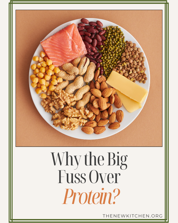 Why the Big Fuss About Protein?